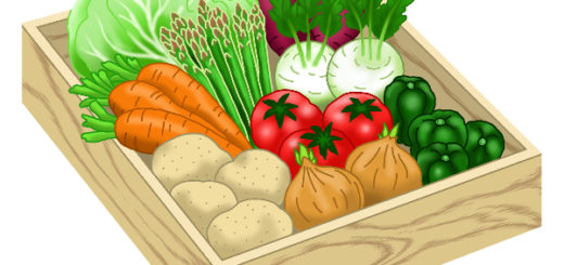 野菜のイラスト無料素材